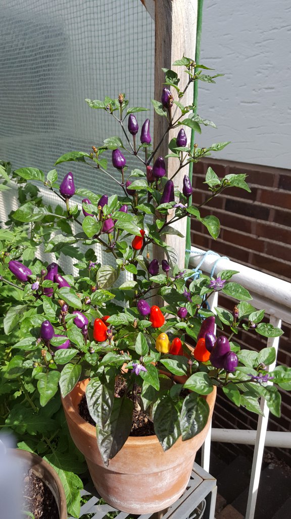 20170630_094551