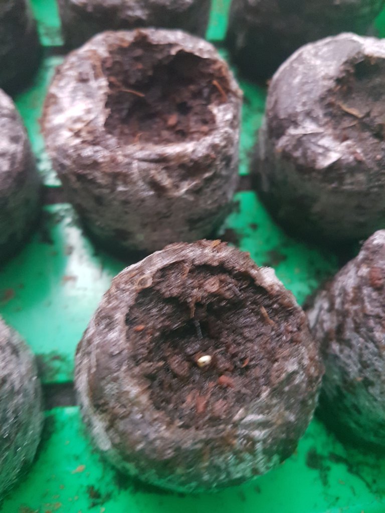 20171223_100131