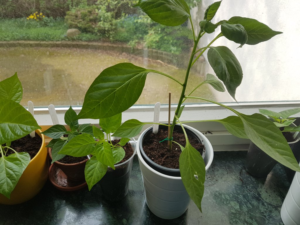 20180423_101436