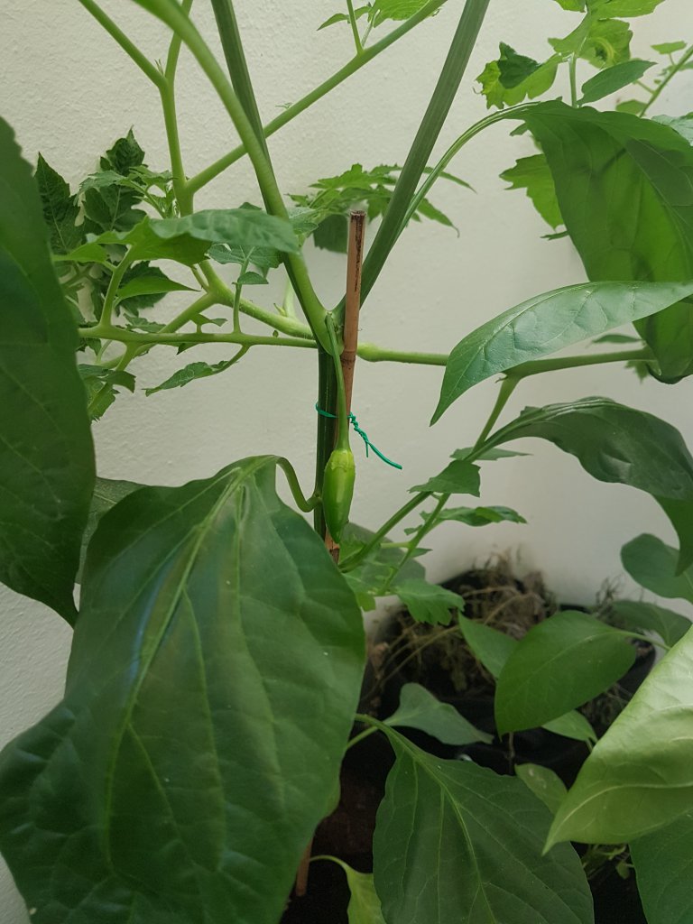 20180630_084851