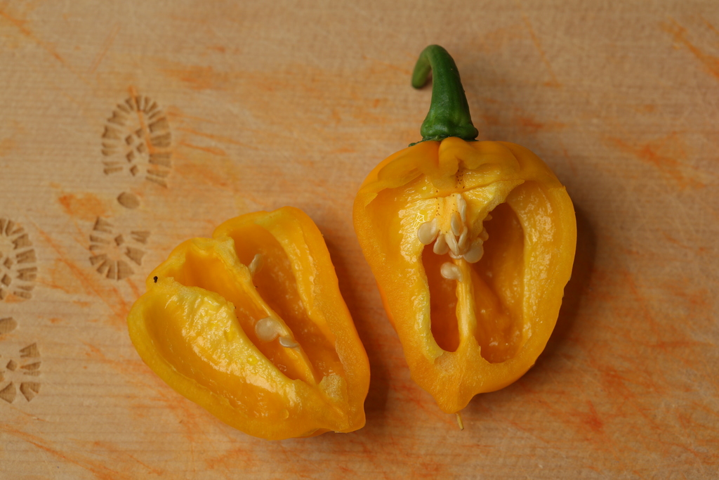 20180811-scotch-bonnet-moa-HM6C3941