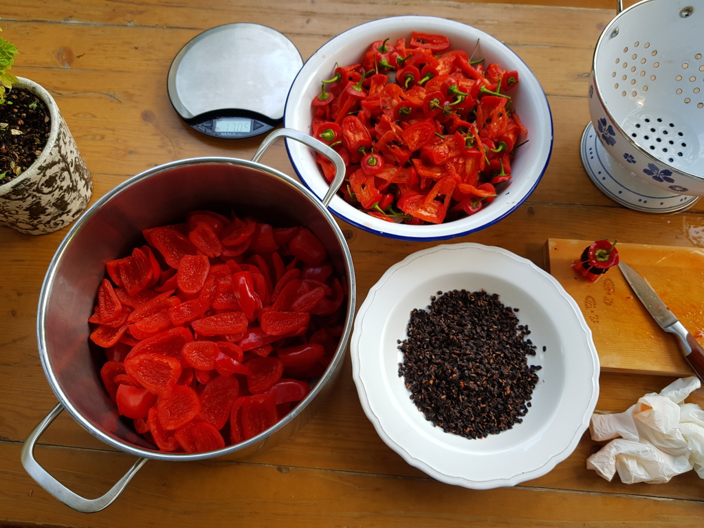 20180929_181054-rocoto-cuencano