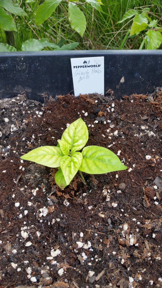 20190519_155257.jpg
