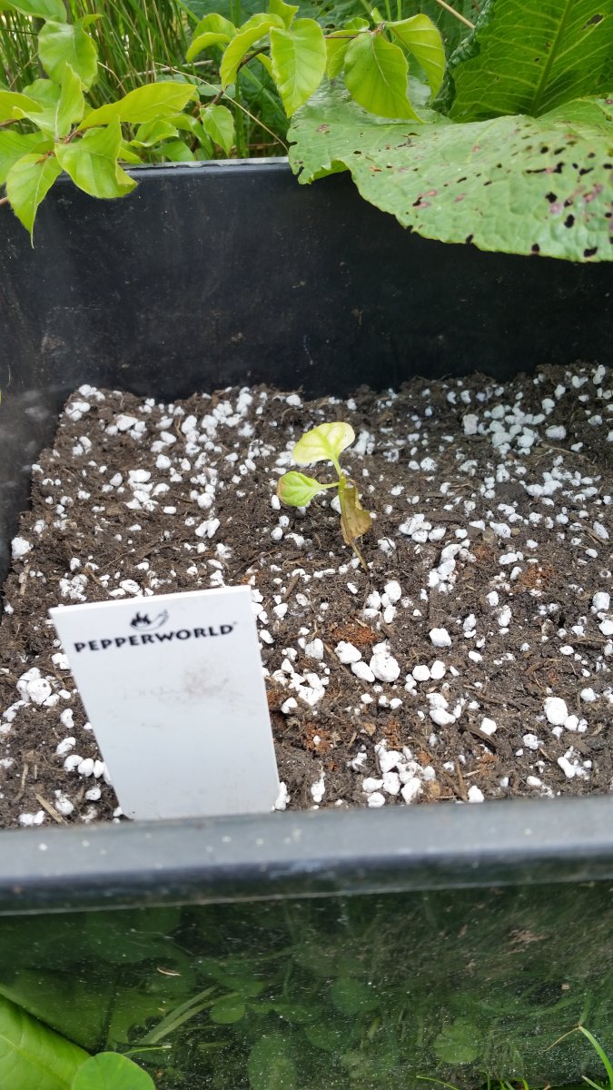 20190519_155313.jpg