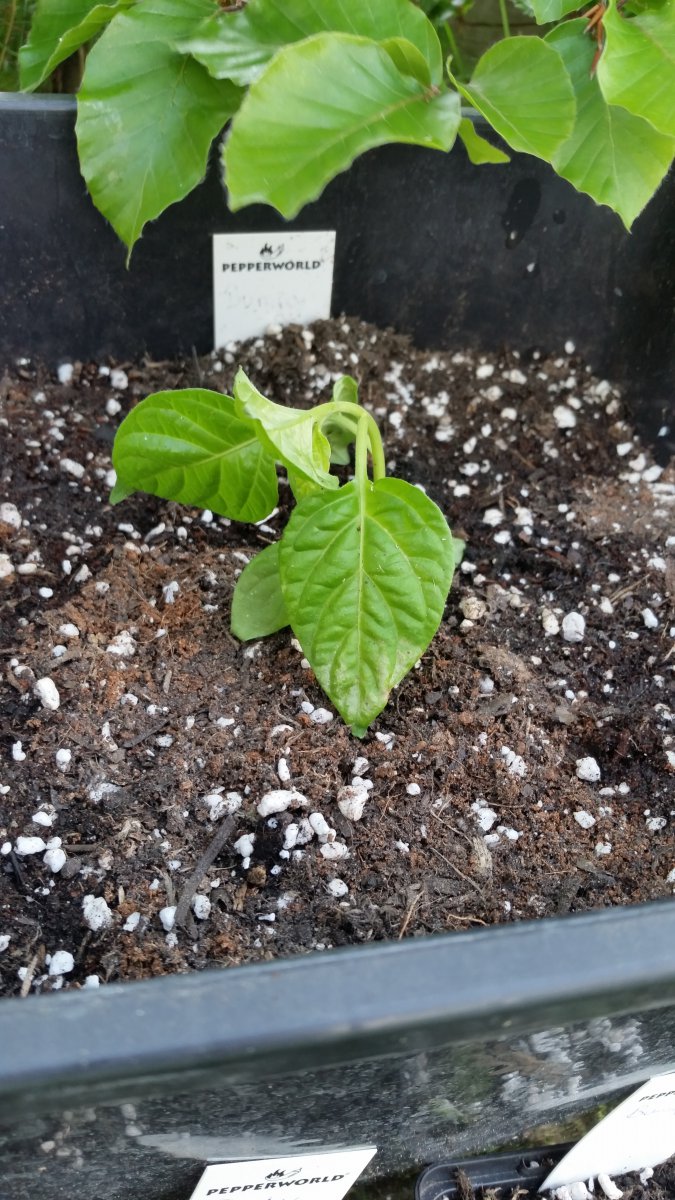 20190519_170153.jpg