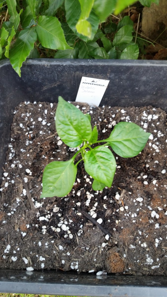 20190519_170225.jpg
