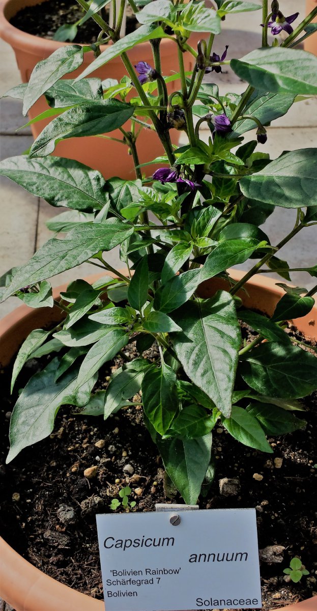 20190601_092707_Richtone(HDR)_cleaned.jpg