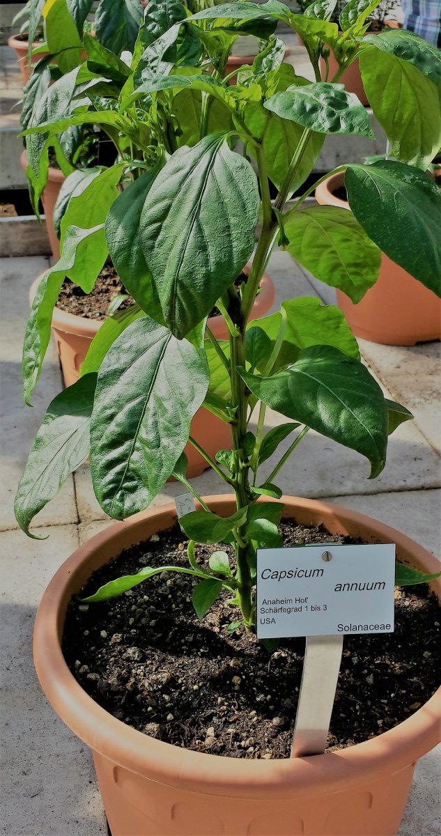 20190601_092717_Richtone(HDR)_cleaned.jpg