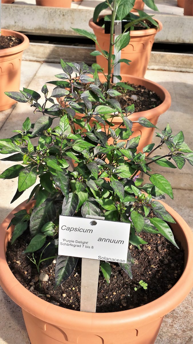20190601_092758_Richtone(HDR)_cleaned.jpg