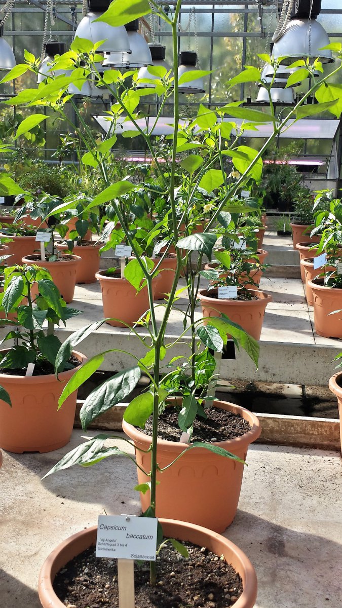 20190601_092916_Richtone(HDR)_cleaned.jpg
