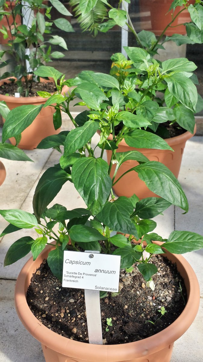 20190601_093115_Richtone(HDR)_cleaned.jpg