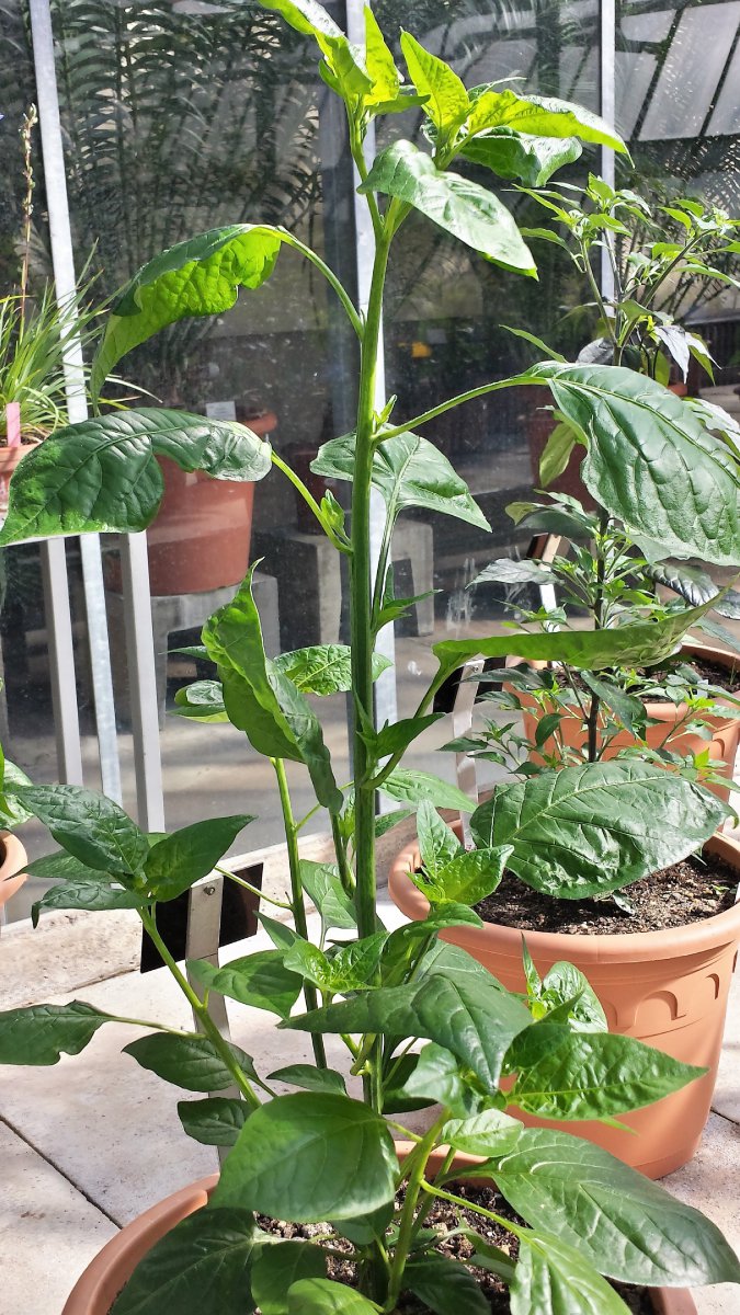 20190601_093256_Richtone(HDR)_cleaned.jpg