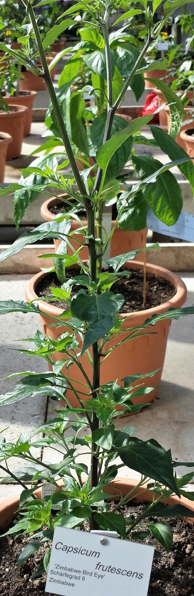 20190601_093307_Richtone(HDR)_cleaned.jpg