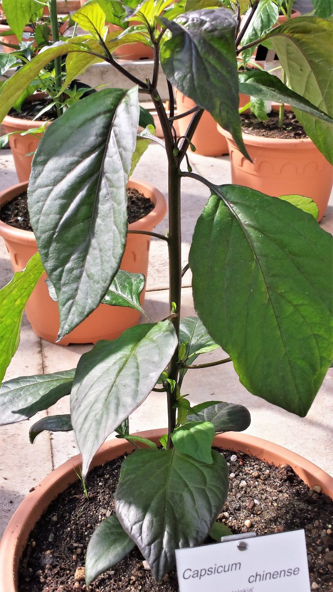 20190601_093316_Richtone(HDR)_cleaned.jpg