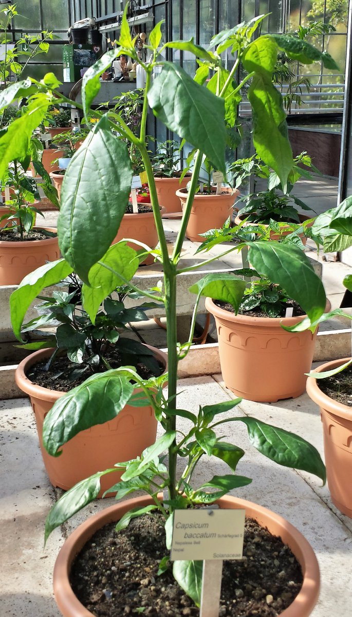 20190601_093322_Richtone(HDR)_cleaned.jpg
