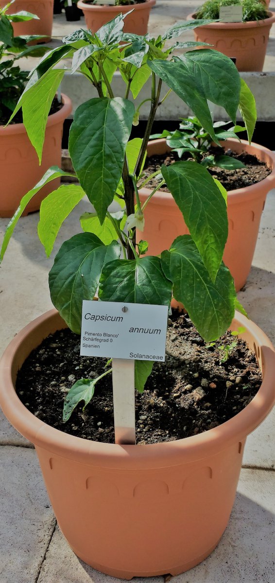 20190601_093447_Richtone(HDR)_cleaned.jpg