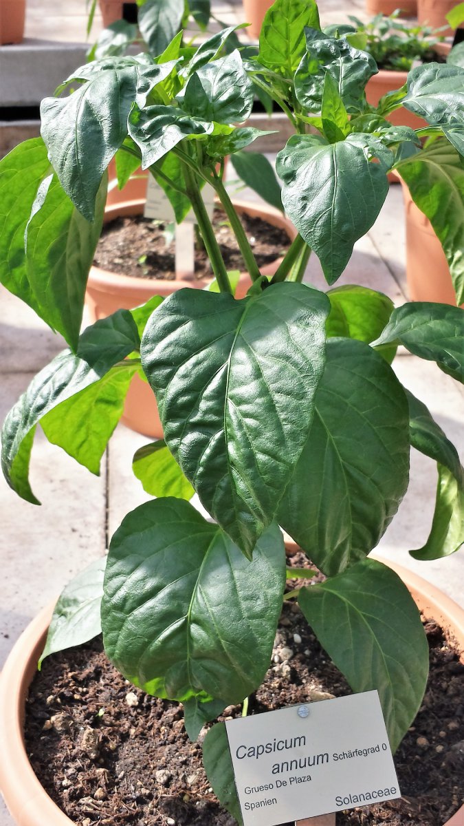 20190601_093527_Richtone(HDR)_cleaned.jpg