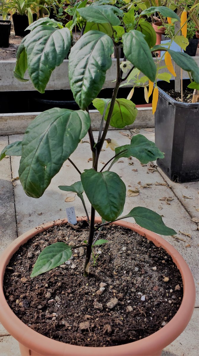 20190601_094537_Richtone(HDR)_cleaned.jpg