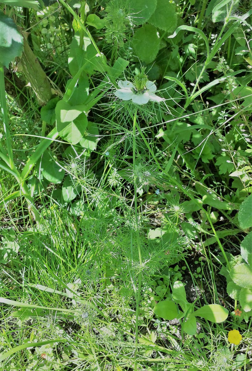 20190607_112615_Richtone(HDR).jpg