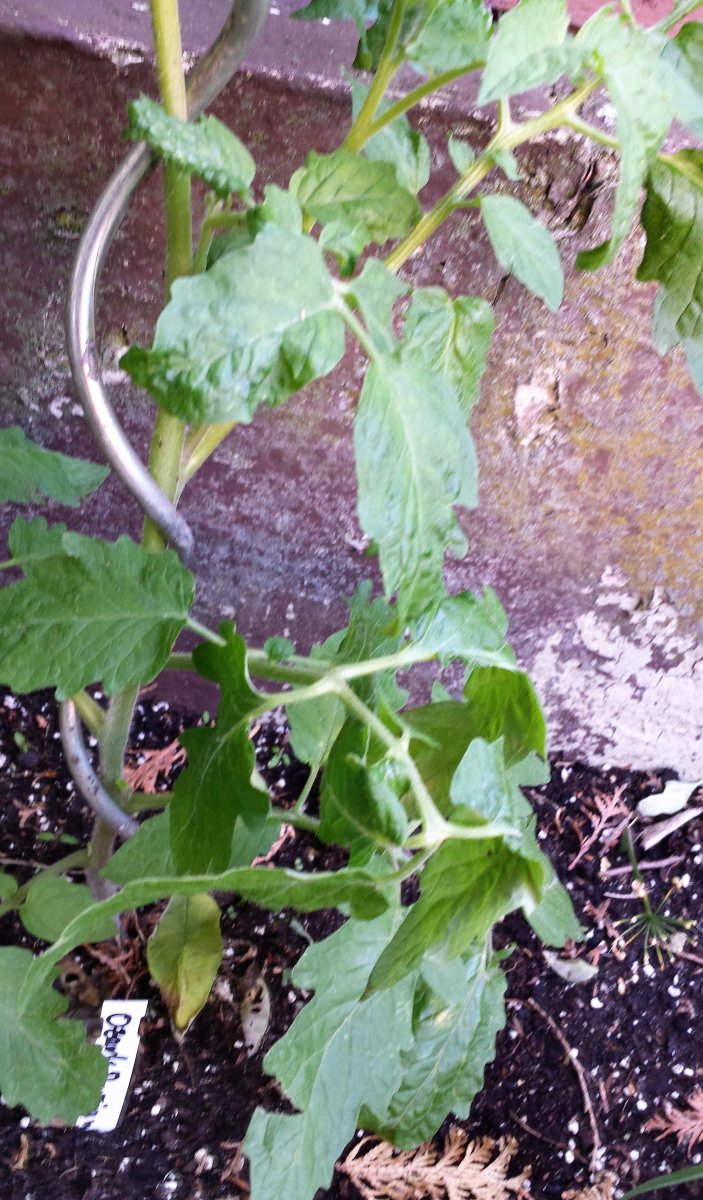 20190609_094833_Richtone(HDR).jpg