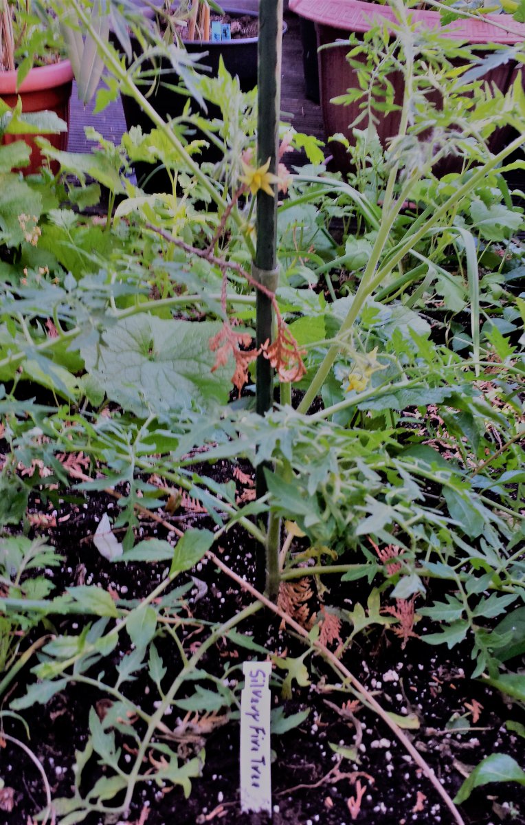 20190609_094859_Richtone(HDR).jpg