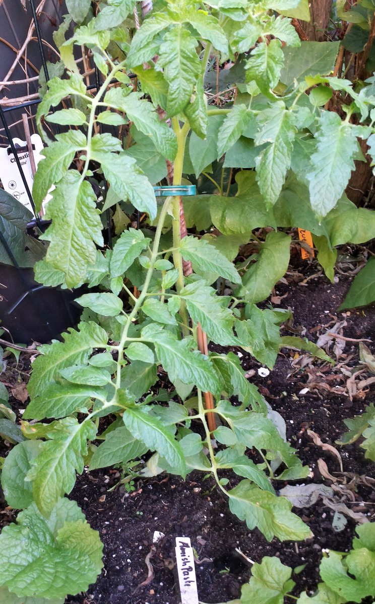 20190609_095007_Richtone(HDR).jpg
