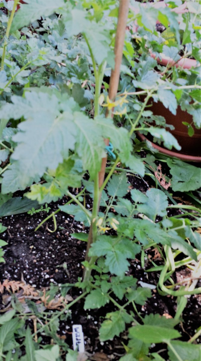 20190609_095039_Richtone(HDR).jpg