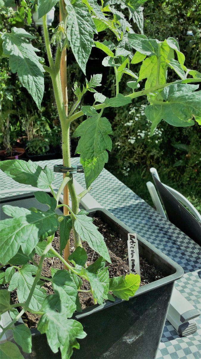 20190609_095242_Richtone(HDR).jpg