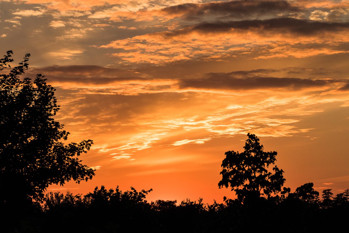 2019_07_06_sonnenuntergang im garten-2.jpg