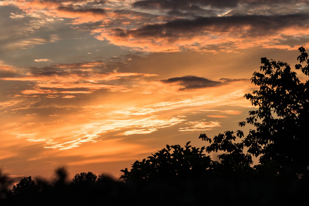 2019_07_06_sonnenuntergang im garten-3.jpg