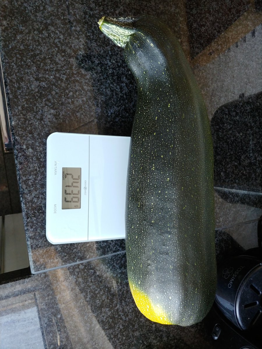 20200805_173447_HDR.jpg