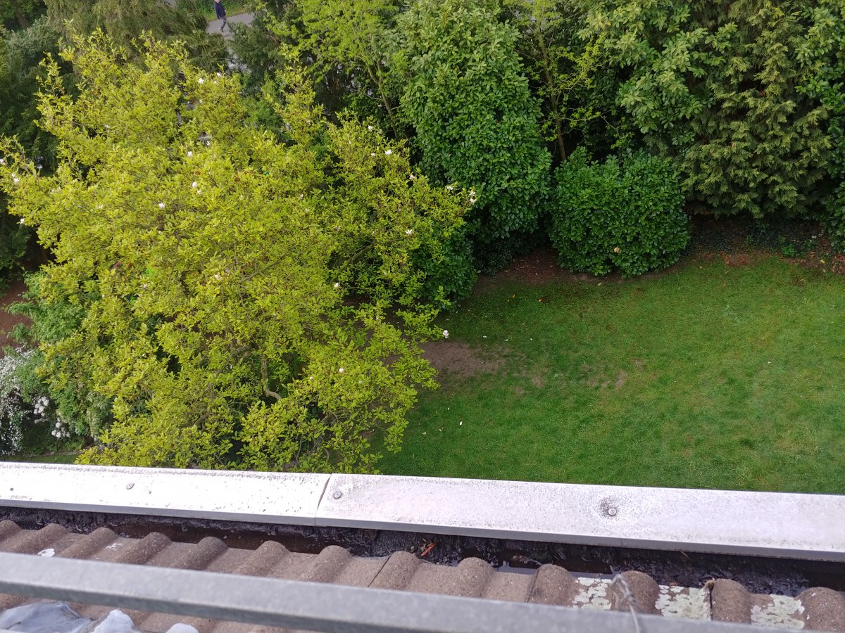 20210514_071427_HDR.jpg