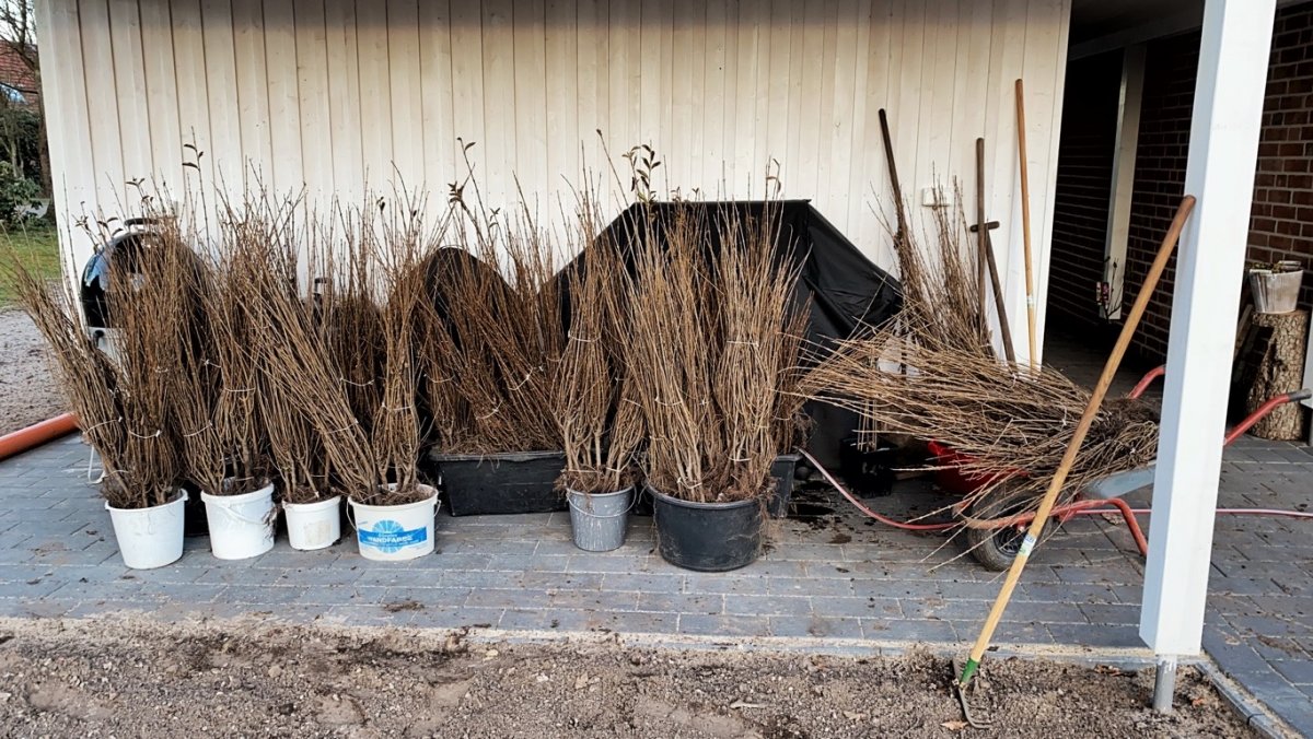 210322_Garten_Flat_Iron_12