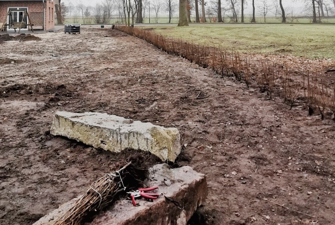 210322_Garten_Flat_Iron_13