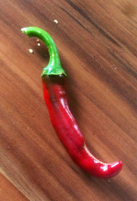 5 De Cayenne.jpg