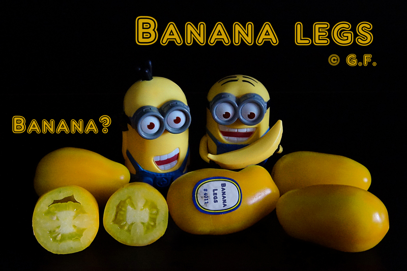 Banana Legs