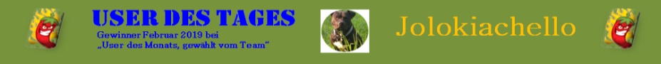Banner-UserdesTagesFeb-jolokiachello2019-927x90.jpg