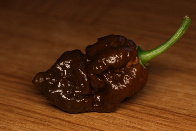 BBM_Frucht_
