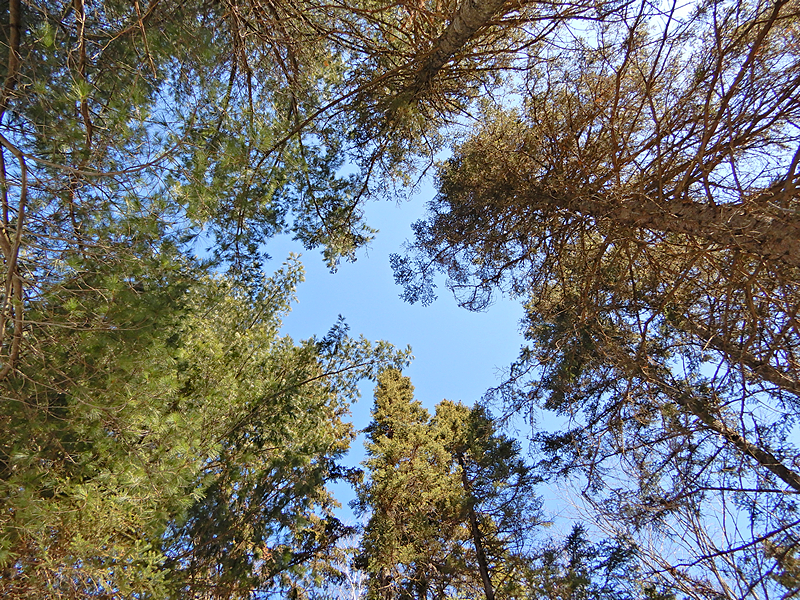 Blauer Himmel
