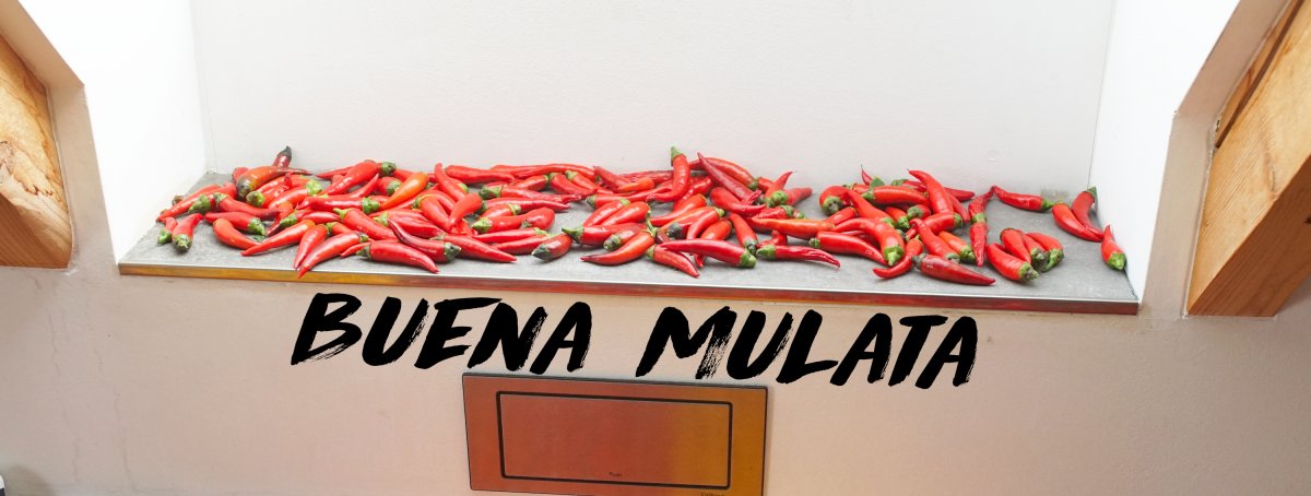 buena mulata +++.jpg