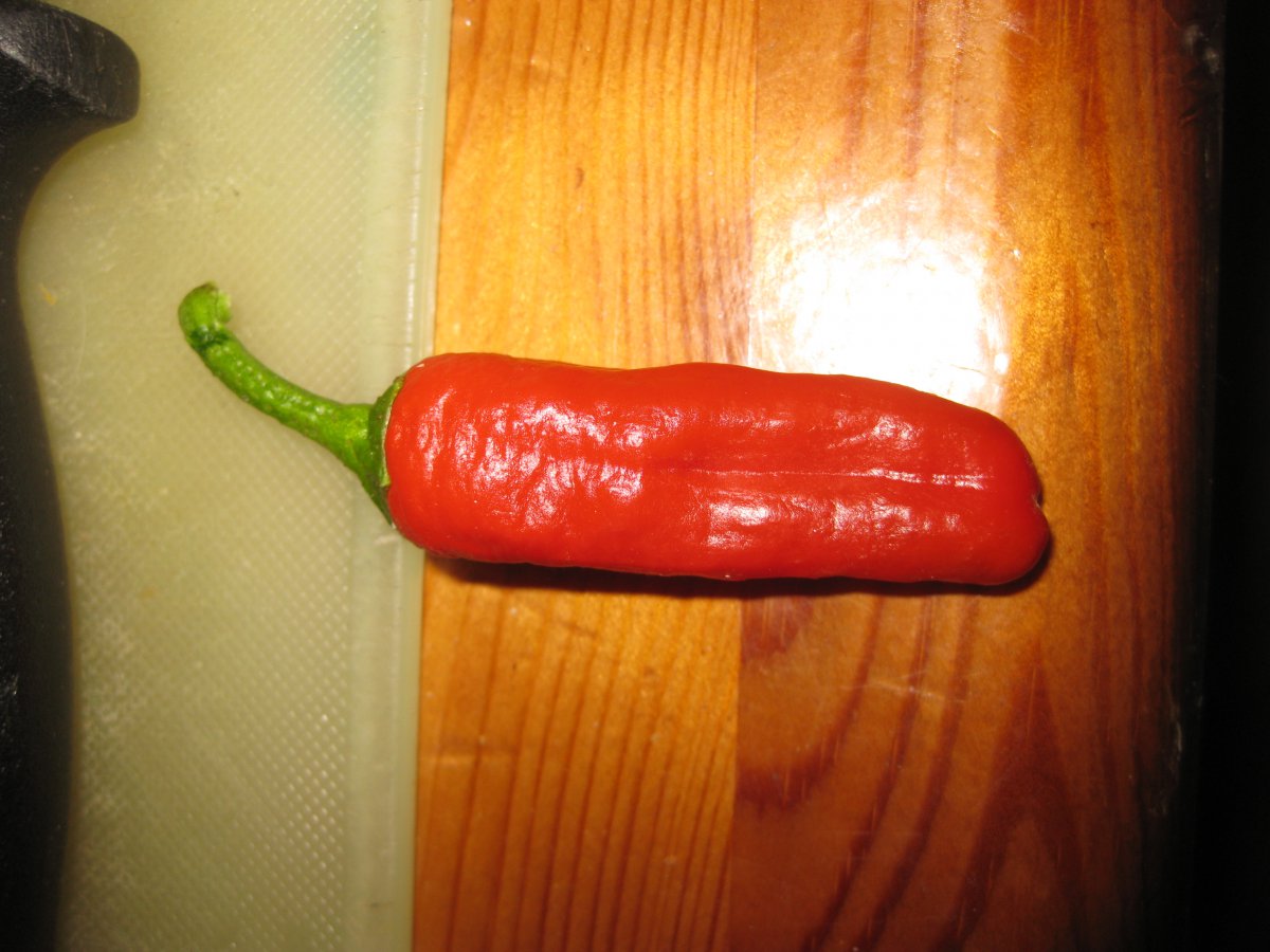 Cayenne???