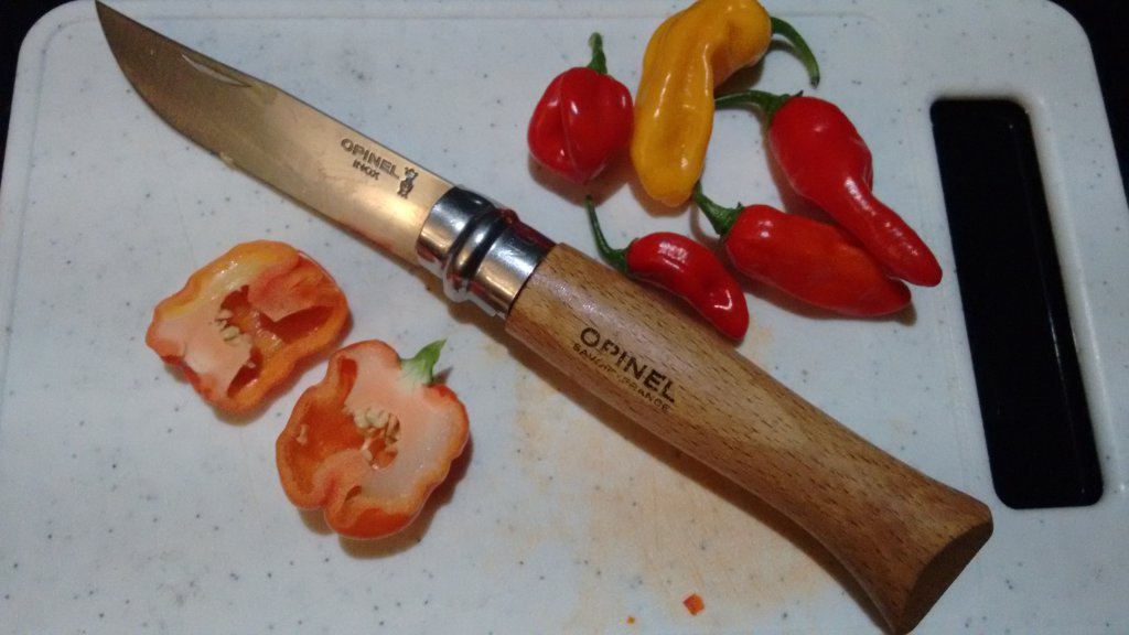 Chili Verkostung