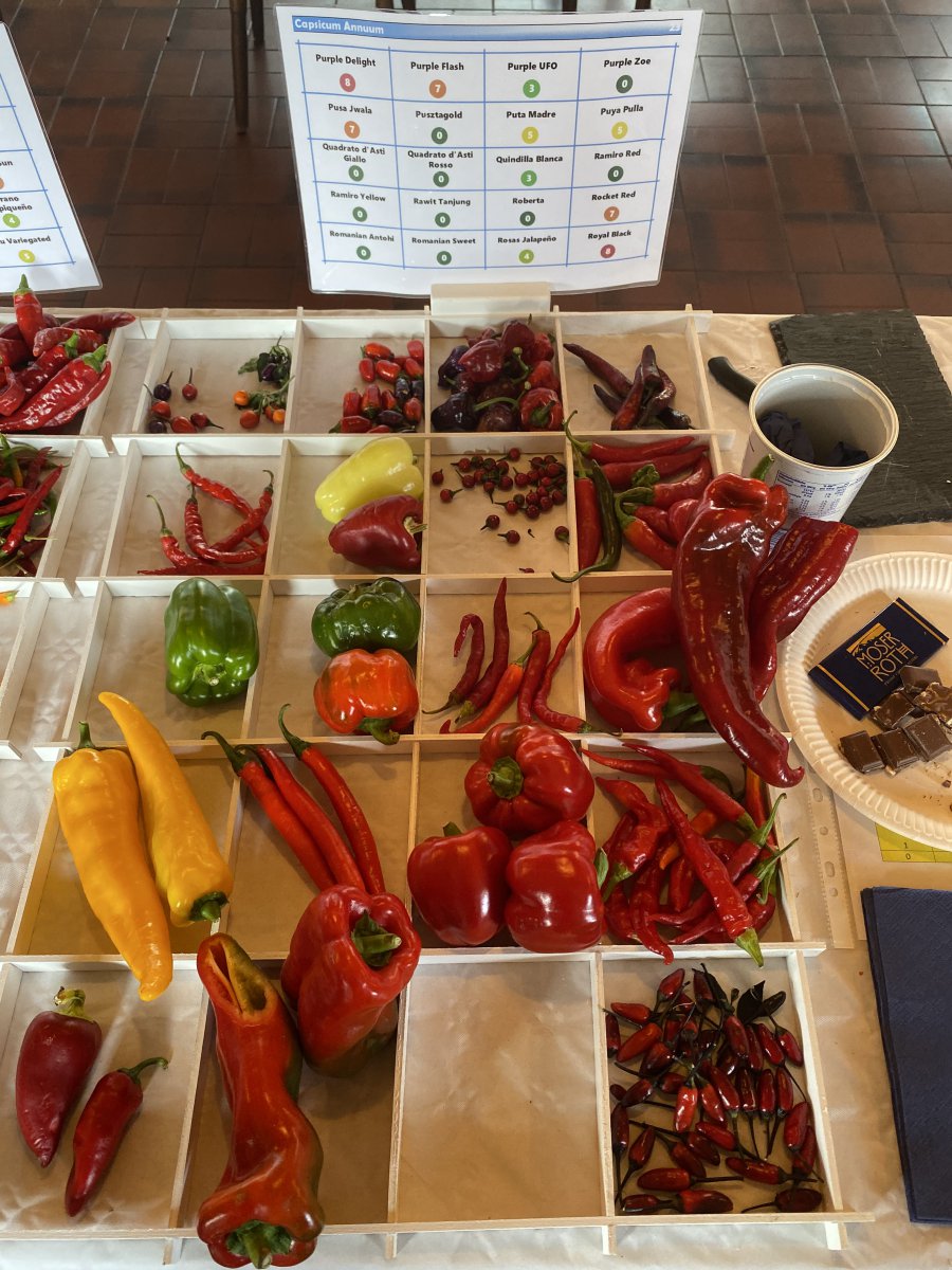 Chiliausstellung Oberursel