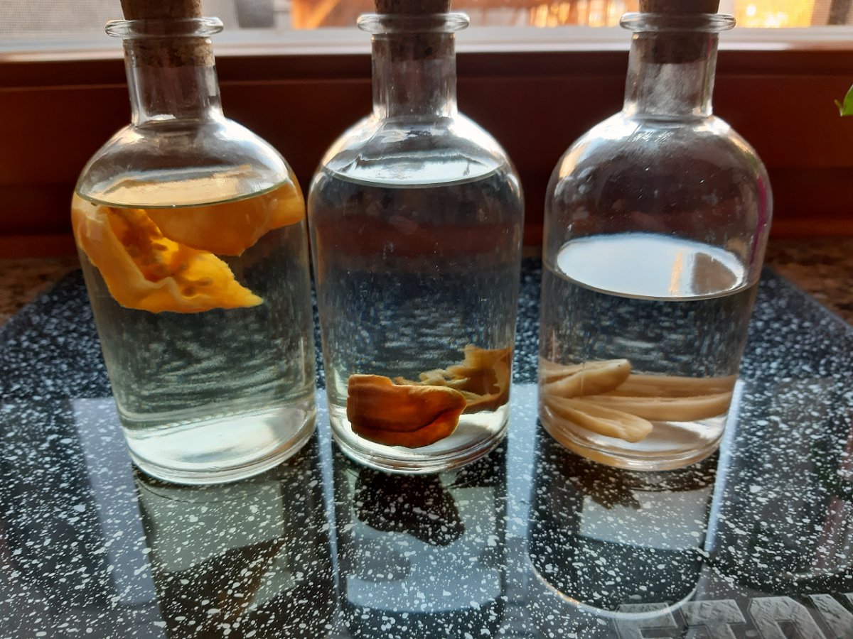 Chilischnapps 21.1