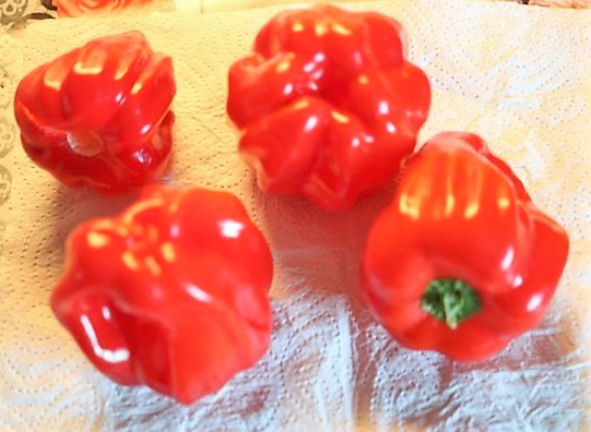 Criolla de Cocina