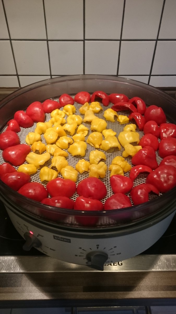 Dörren
