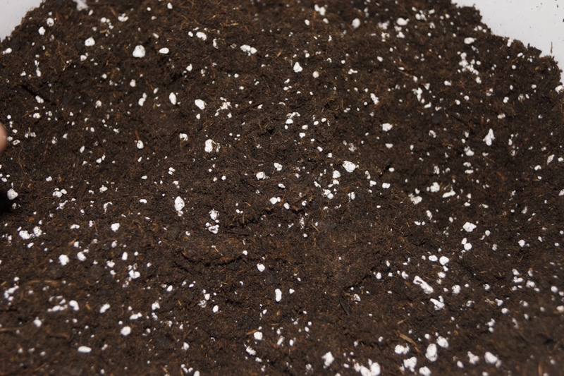 DSC07588