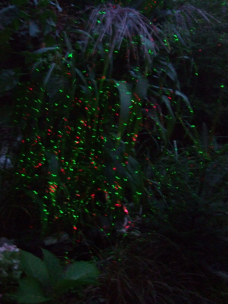 DSCF1865