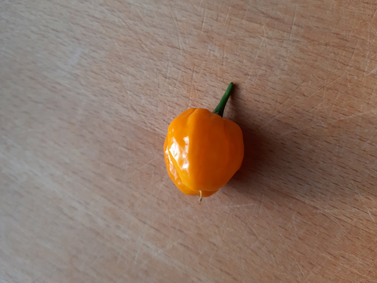 Erste SB 1.6.