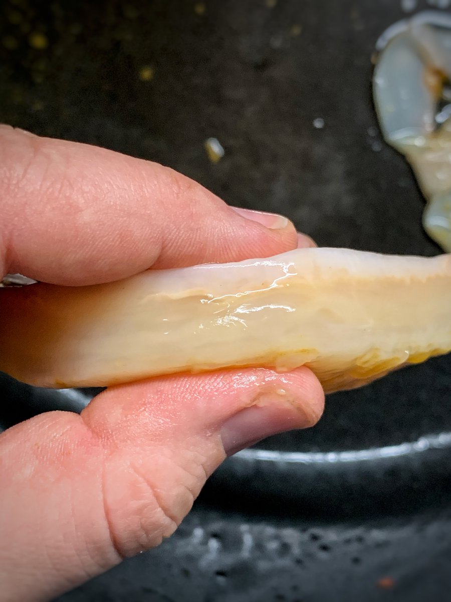 Frucht-SCOBY
